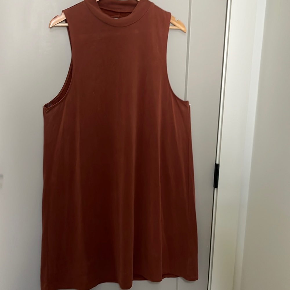 Fall Dress with back opening